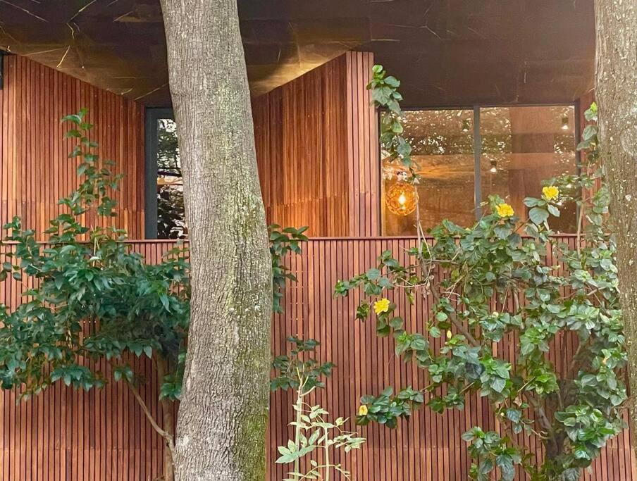 Casa Roma * Mexico